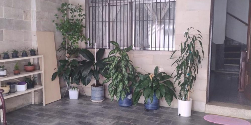 WhatsApp Image 2026-01-19 at 15.41.21