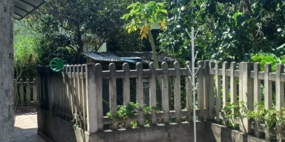 WhatsApp Image 2026-02-09 at 09.56.14 (3)