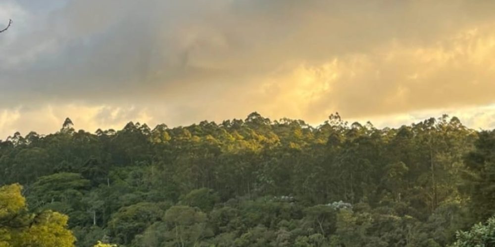 WhatsApp Image 2026-02-09 at 10.15.46