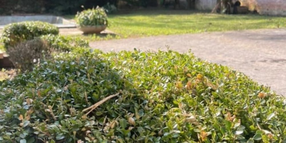 WhatsApp Image 2026-02-09 at 10.15.47 (3)