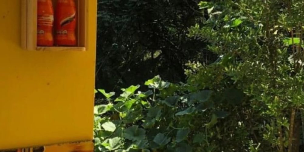 WhatsApp Image 2026-02-09 at 10.15.47 (4)