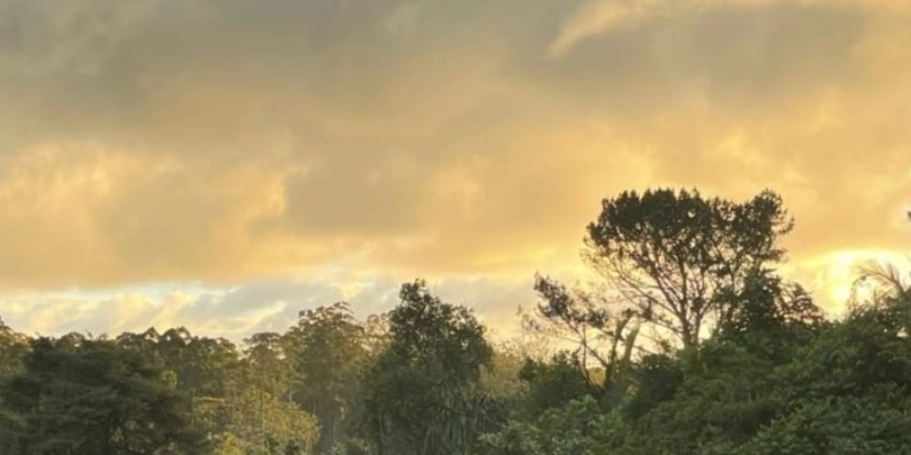 WhatsApp Image 2026-02-09 at 10.15.48