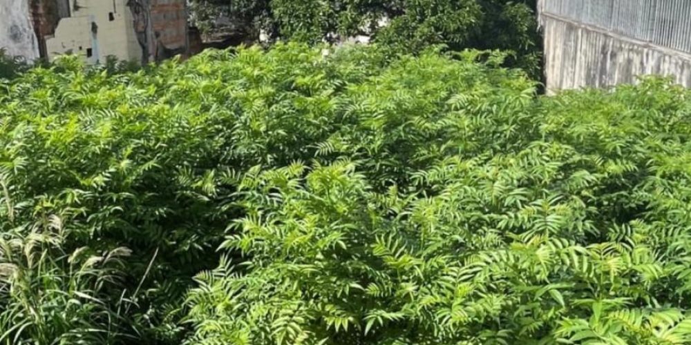 WhatsApp Image 2026-02-19 at 09.40.30 (1)