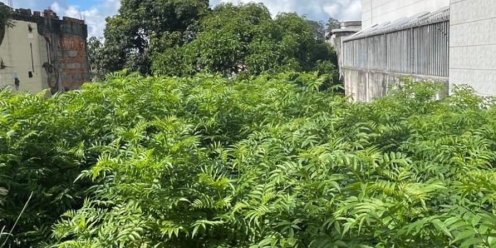 WhatsApp Image 2026-02-19 at 09.40.30 (2)